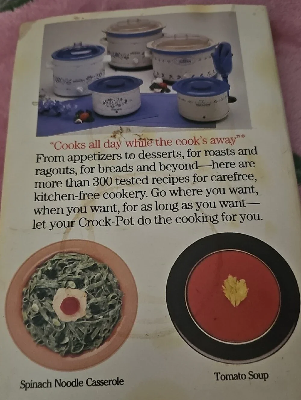 Rival crock pot